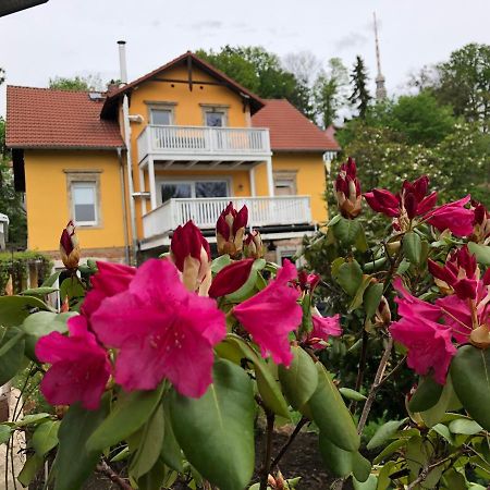 Ferienwohnung Casa Casimir Mit Elbblick, Balkon Und Grossen Garten Drezda Kültér fotó